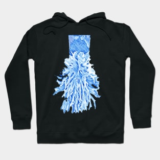 staghorn fern Hoodie